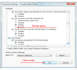 How to enable Active-X Controls & plug-ins Step 2 04